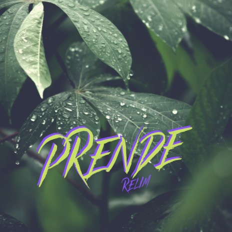 Prende