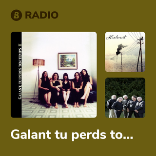 Galant tu perds ton temps Radio
