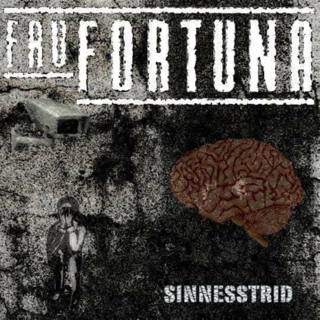 Hjältar cover art