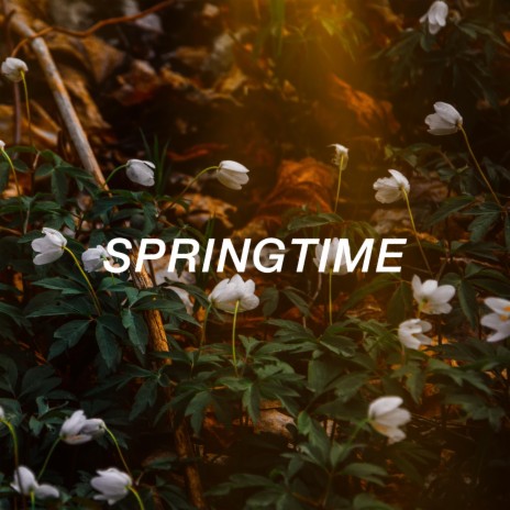Springtime (Your Love Is) cover art