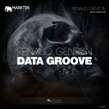 Data Groove (Original Mix) cover art