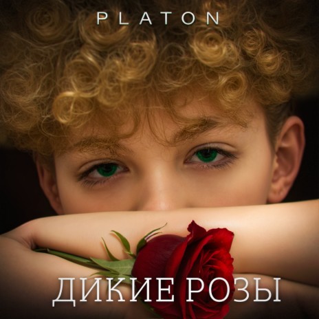 ДИКИЕ РОЗЫ cover art