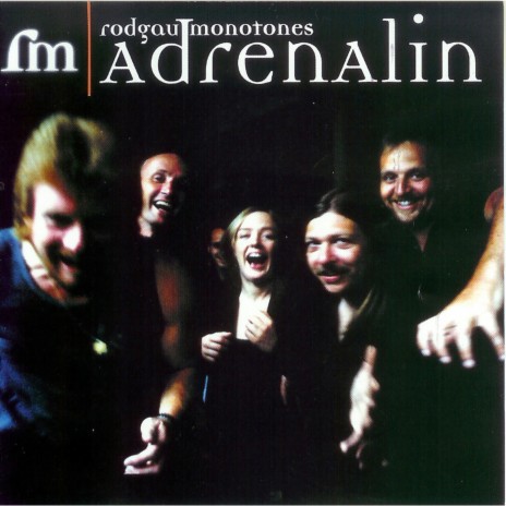 Ich lieb dich nicht, und du liebst mich nicht cover art