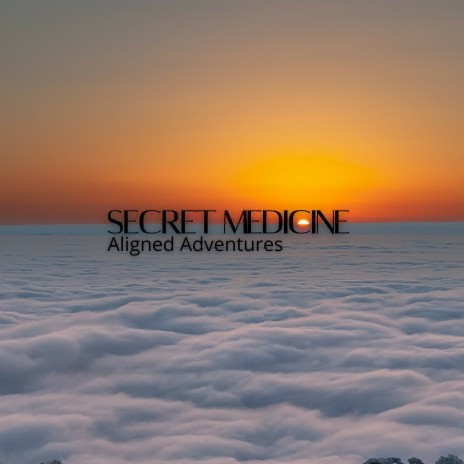Aligned Adventures cover art