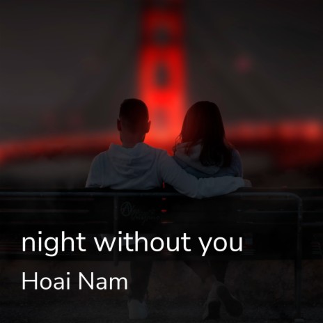 Night Without You