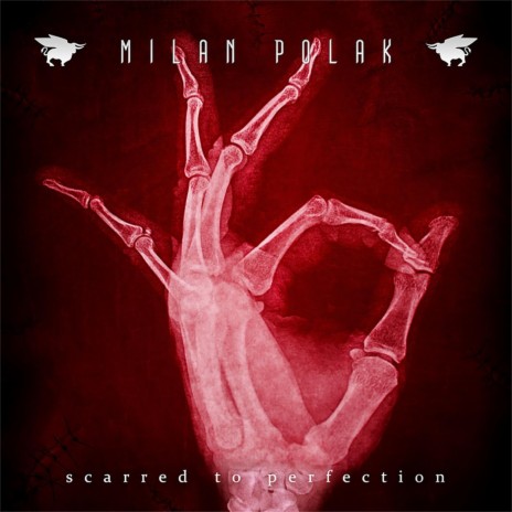 Scarred to Perfection (feat. Fabio Trentini)