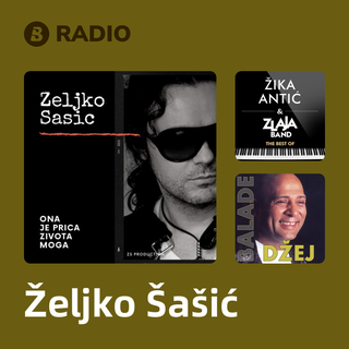 Željko Šašić Radio