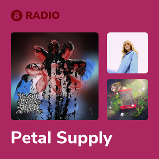 Petal Supply Radio