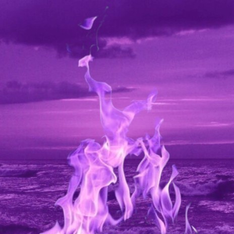 In The Rose cover art