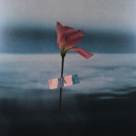 Calescent