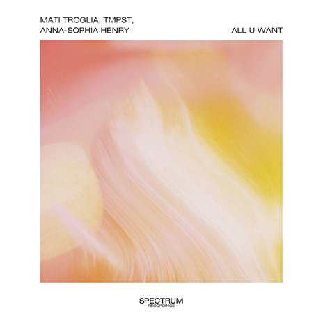 All U Want ft. TMPST & Anna-Sophia Henry cover art