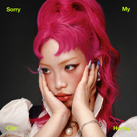 Sorry My Honey ft. Pixel Neko & SOI cover art