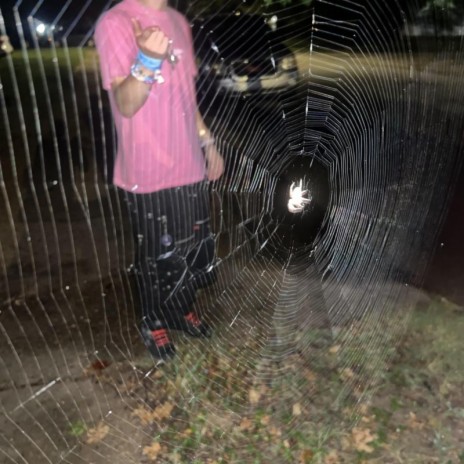 Can You Come Down For Me? cover art