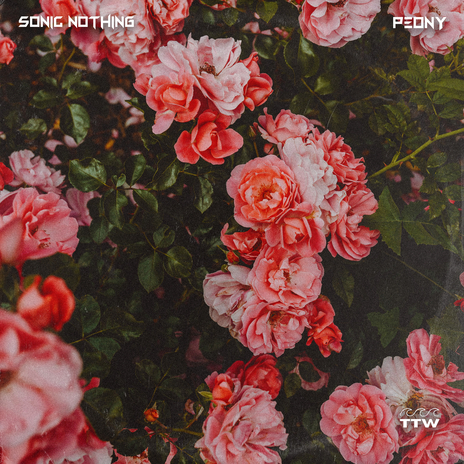 Peony cover art