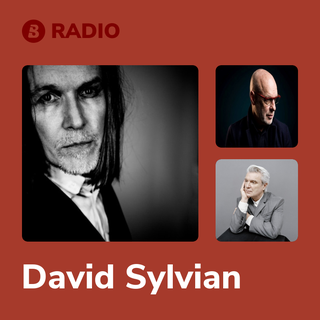 David Sylvian Radio