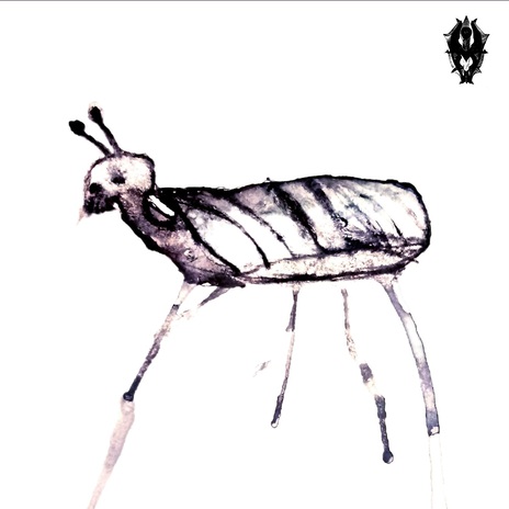 Black Paradise cover art