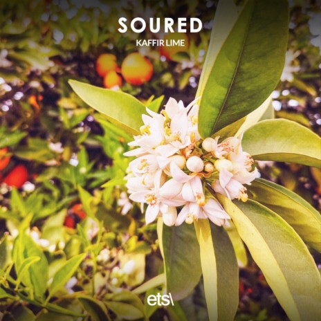 Soured (Extended Mix) cover art