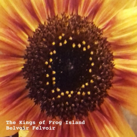 Belvoir Felvoir cover art