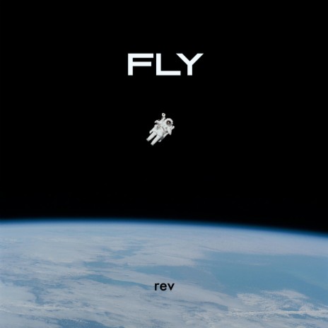 fly