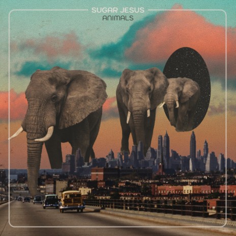 Animals cover art