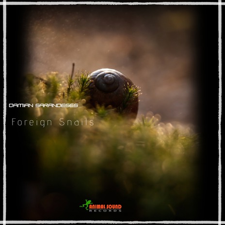 Foreign Snails cover art