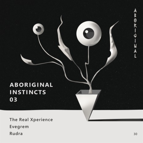 Sankoch (Original Mix) cover art
