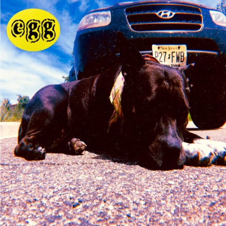 Flies cover art