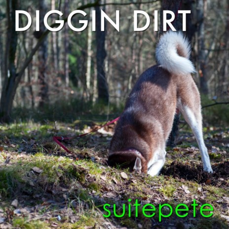 Diggin Dirt