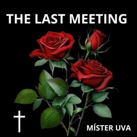 The last meeting (Radio Edit) cover art