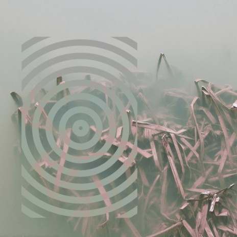 Diseases And Rats cover art