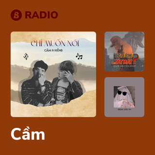 Cầm Radio