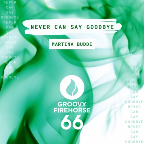 Never Can Say Goodbye (Radio-Edit)