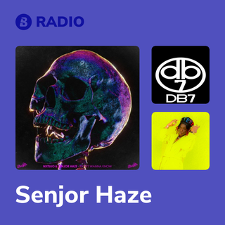 Senjor Haze Radio