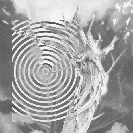 Large Spaces cover art