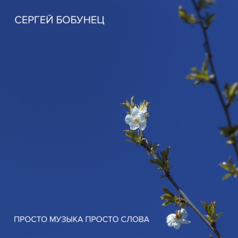 Просто музыка, просто слова cover art