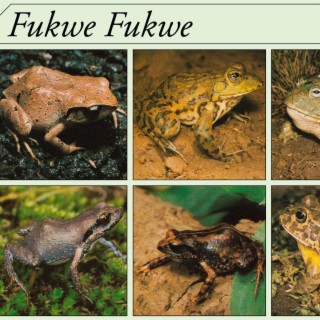 Fukwe Fukwe