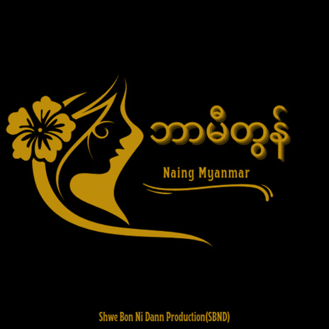 ဘာမီတွန် cover art