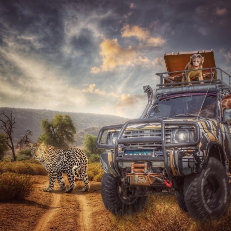 Open Jeep Safari : Monkey On The Tree cover art