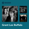 Grant Lee Buffalo Radio