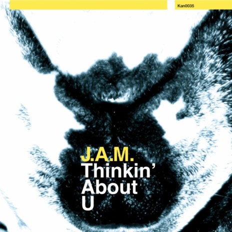 Thinkin' About U (Soul Minority Remix) cover art