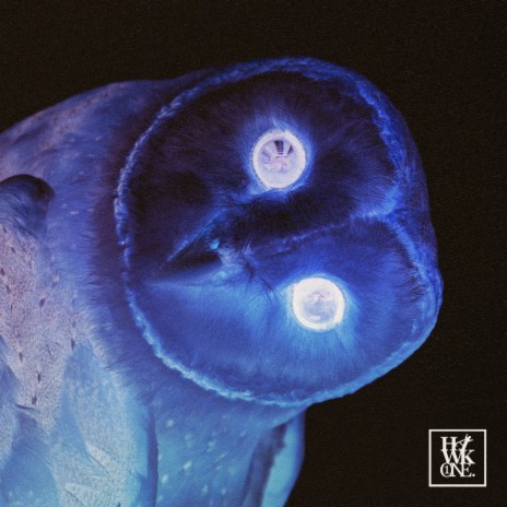 Night Owls cover art