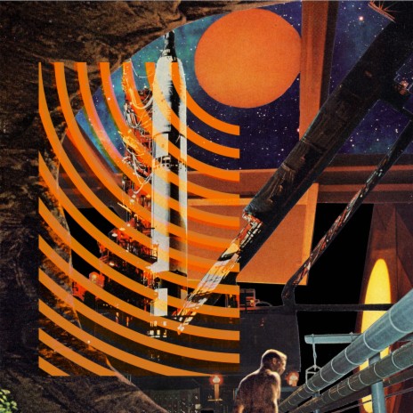 Many Fields cover art