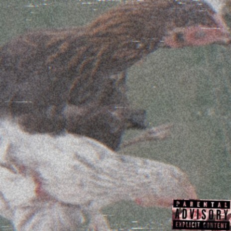 Rapper Chick