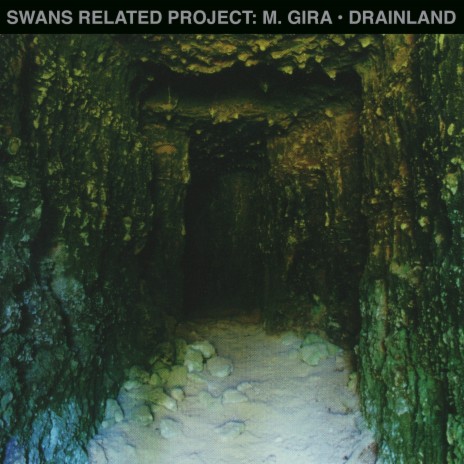 Blind cover art