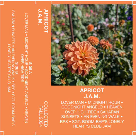 Midnight Hour cover art