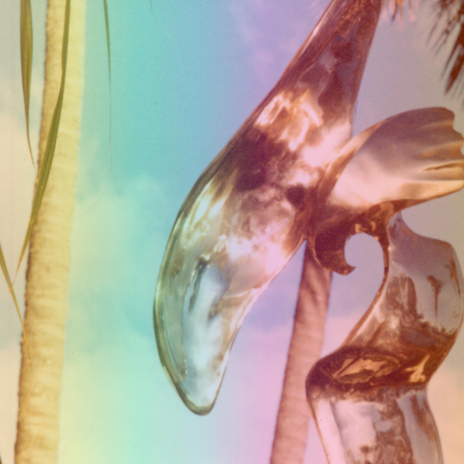 Morning cover art