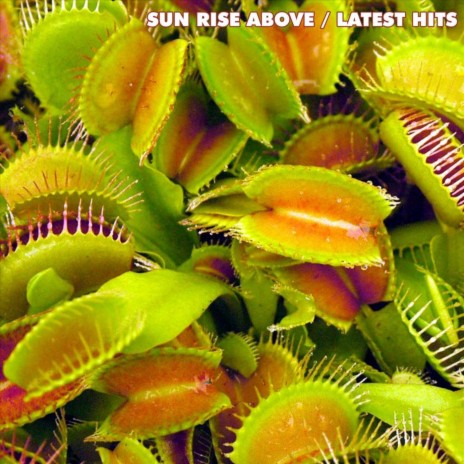 The Thaw cover art