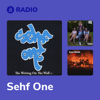 Sehf One Radio