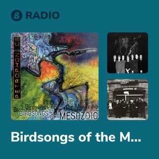 Birdsongs of the Mesozoic Radio