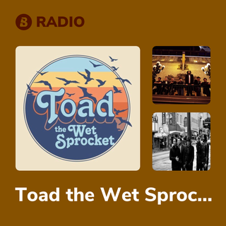 Toad the Wet Sprocket Radio